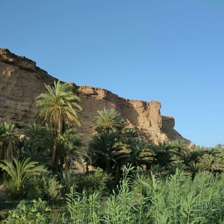 Amoudou Lodge Camp Tissint Kültér fotó